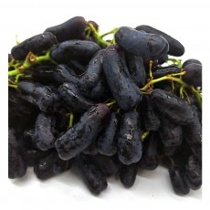 블랭 사파이어 포도