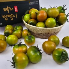 대저 부산 짭짭이 토마토