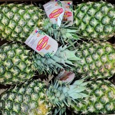 고당도 프리미엄  파인애플 대과 2과