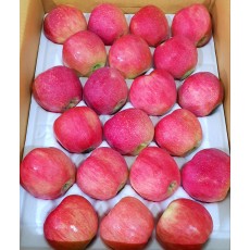 충주 옛뜰 과수원 25년 햇사과 21과