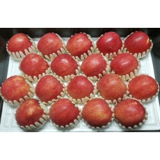 충주 옛뜰과수원 25년 햇사과 18-19과